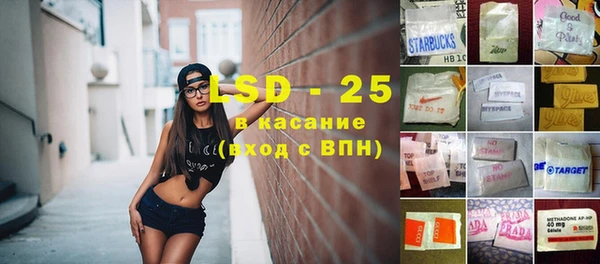 прущие грибы Карпинск