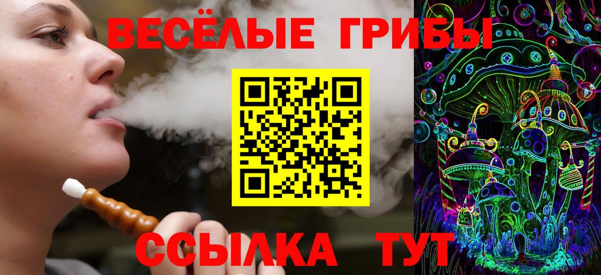 Галлюциногенные грибы Psilocybine cubensis Минеральные Воды